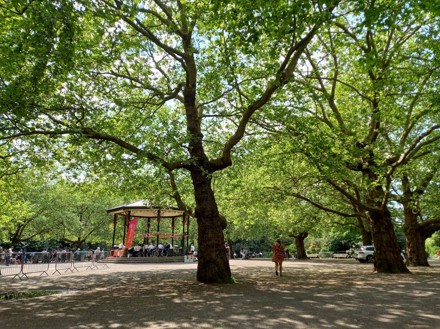 A wide shot of Kennington Park showing several large mature trees with extensive green foliage providing shade on a bright, sunny day. In the background, there is a small open-air bandstand with a curved roof, and underneath it, a group of people seated at tables, possibly for an outdoor event or gathering. Along the park's paved pathway, a person dressed in casual clothing is walking toward the bandstand. To the right of the scene, a white vehicle is parked near the edge of the park. The ground beneath the trees is a mixture of dirt and grass, with some shadows cast by the branches and leaves. The park is enclosed with metal barriers, and the overall atmosphere suggests a peaceful outdoor environment, typical for community events or relaxation. This image exemplifies the kind of outdoor setting where house removals or furniture transport might involve moving items to or from a nearby residence in Kennington, as part of home relocation or packing and moving services provided by Removal Companies Kennington.